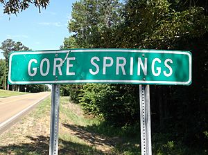 GoreSpringsMSHighwaySign.jpg