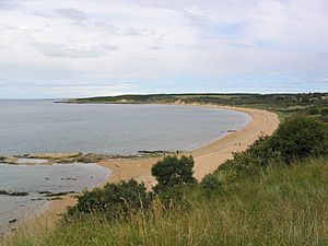 Gullane Beach