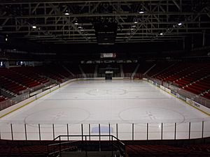 HerbBrooksArena.jpg