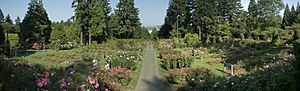 International Rose Test Garden pano.jpg