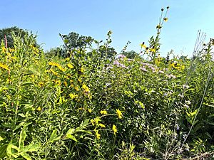 James Woodworth Prairie Preserve