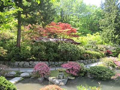 Japanese garden view 3