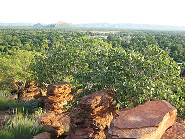 Kununurra from lookout.jpg