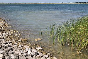 Lake pflugerville 2012