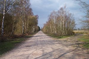 Longmoor Military Railway 1