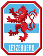 Shirt badge/Association crest