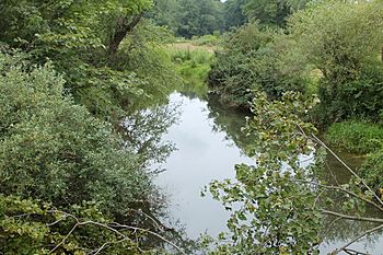 Middle Branch Chillisquaque Creek.JPG