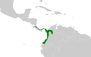 Myiornis atricapillus map.svg