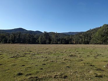 Paddocks Mount Byron Queensland.jpg