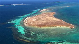 Rat Island (Houtman Abrolhos) photo 2