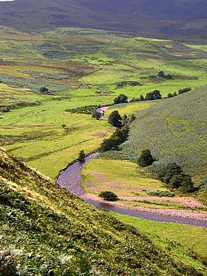 River Breamish - geograph.org.uk - 95096