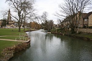 River Welland - geograph.org.uk - 160240