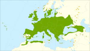 Sambucus nigra range