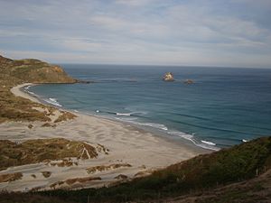 Sandfly bay May-2007