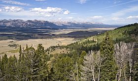 Sawtooth Valley ID1.jpg