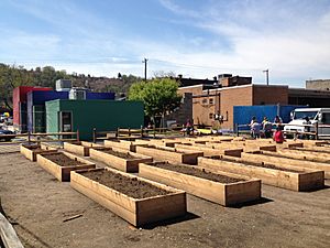 Sharpsburg Community Garden