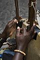 Strings of a 21 string Kora harp-lute, Rome - 3497