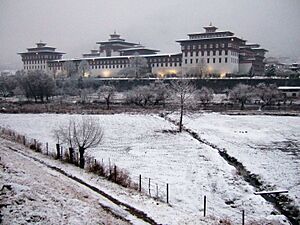 Tashichödzong Thimphu-2008-01-23