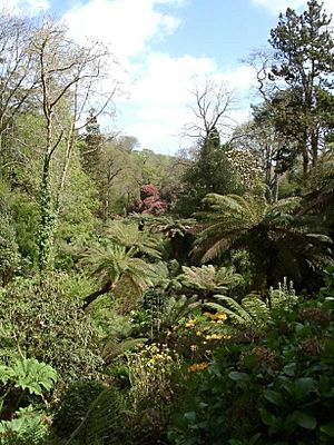 TheLostGardensOfHeligan-Jungle