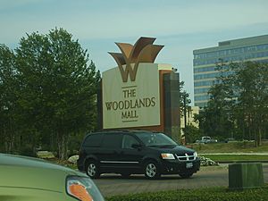 TheWoodlandsMallEntrance