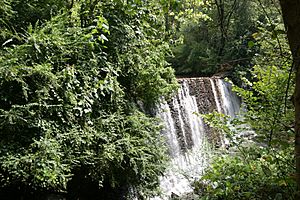 The fall at the Roswell Mill