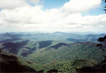 View from Point Lookout.jpg