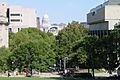 View from bascom hall