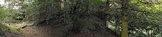 A mound covered in trees