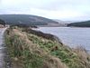 Western shore of Lussa Loch. - geograph.org.uk - 105354.jpg