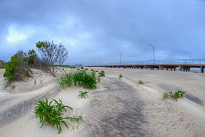 48th street rockaway