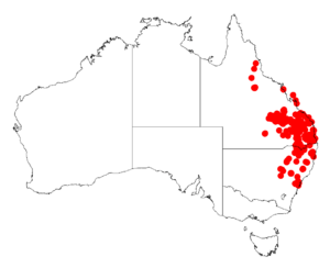 Acacia juncifoliaDistMap488.png