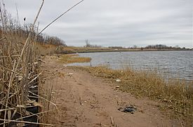 Beach Great Kills Park.JPG