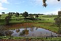 Bridgetown landscape