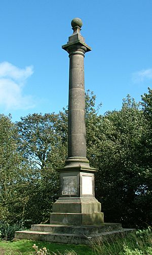 Camphill Column, Alnwick - 2011-09-12.jpg