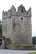 Castle Ward Castle, August 2009.JPG