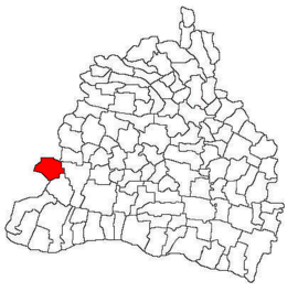 Location in Dolj County