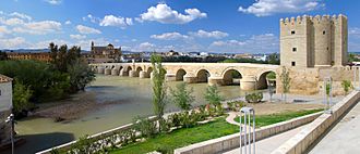 Cordoba, Spain (11174784126).jpg