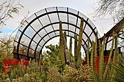 Desert Botanical Garden SW01