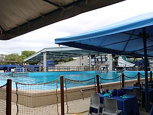 Dine With Shamu backstage