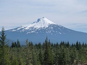 Distant McLoughlin from north