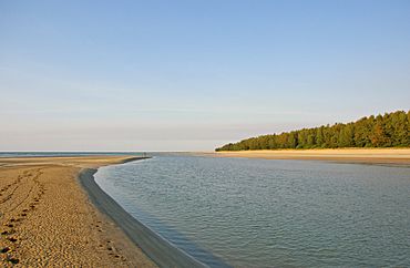 Estuary mouth.jpg