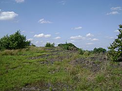 GoffleHill TraprockGlade