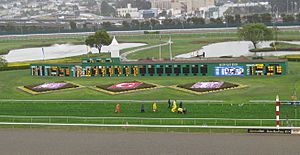 Golden Gate Fields infield.jpg