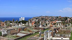 Graveyard in vaucluse