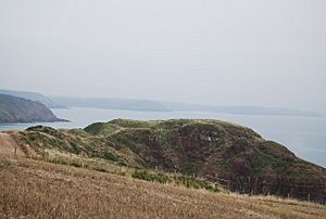 Greenala Fort (geograph 3752145).jpg