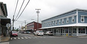 Honoka'a, Hawaii main street