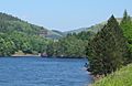 Island in Derwent Reservoir, with Howden Dam behind