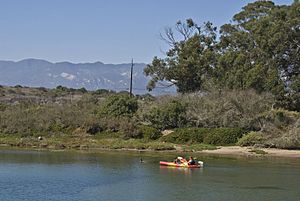 Kayak at Goleta Slough