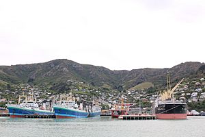 Lyttelton Fishing boats