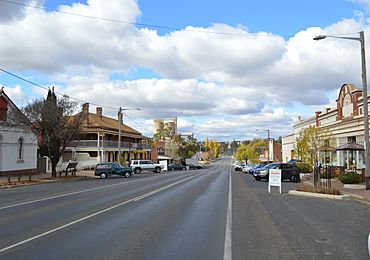 Murrumburrah Albury Street 001.JPG